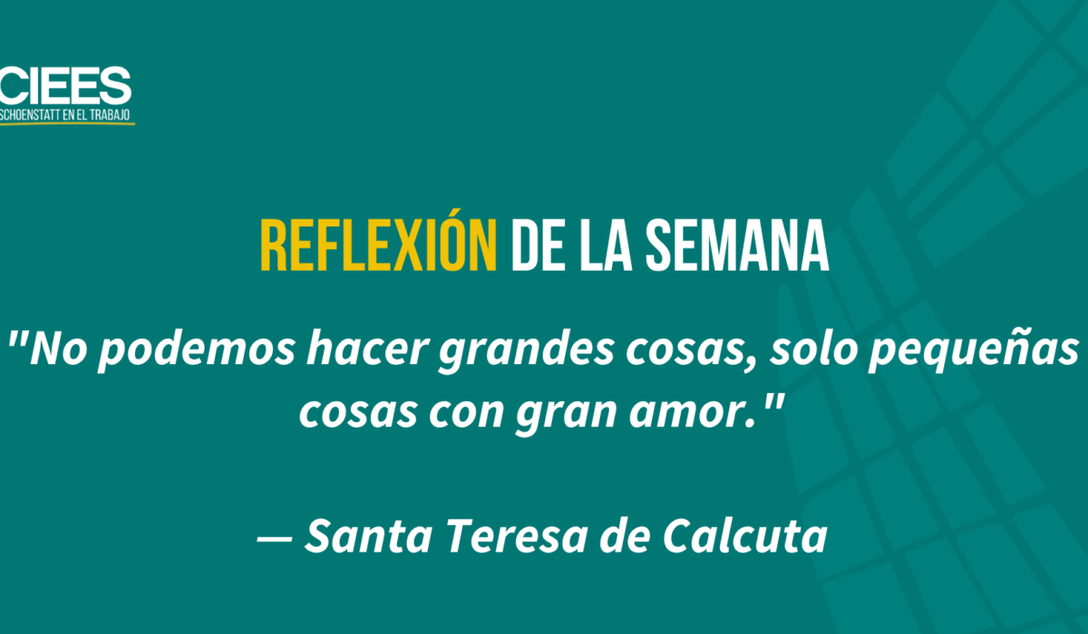La gratitud, reconocer los frutos