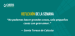 La gratitud, reconocer los frutos
