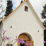 foto de perfil de Liliana Michelini